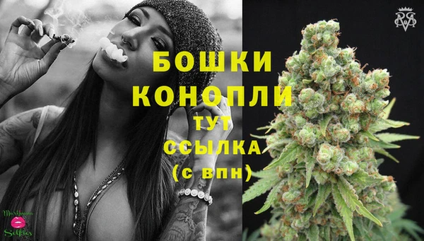 PSILOCYBIN Михайловка