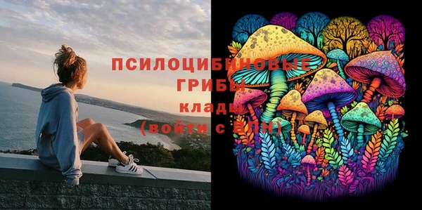 трава Михайловск