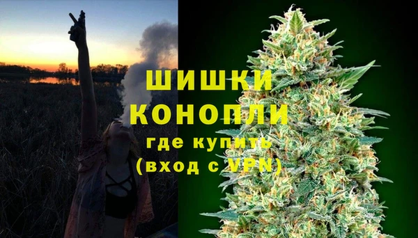 трава Михайловск