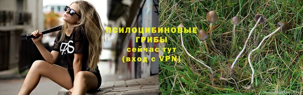 PSILOCYBIN Михайловка