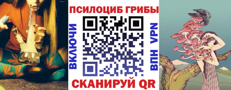 закладка  Янаул  Галлюциногенные грибы Cubensis 